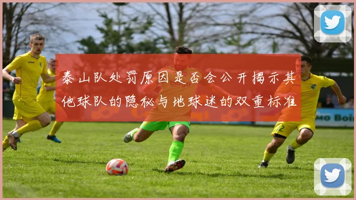 泰山队处罚原因是否会公开揭示其他球队的隐秘与地球迷的双重标准